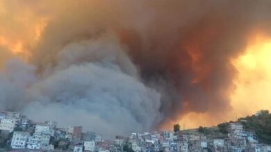 حريق الجزائر تحترق الغابات تشغل المنطقة الشمالية الشرقية خريطة الحرائق