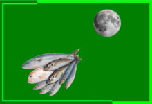 لماذا تفسد الأسماك مع القمر هل يتلف الصيد